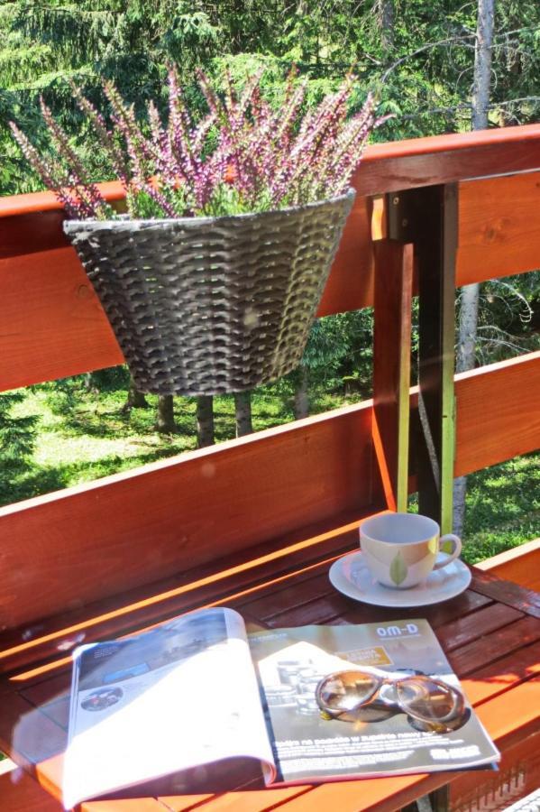 Koscielisko Residence Apartament Halszka 29C エクステリア 写真